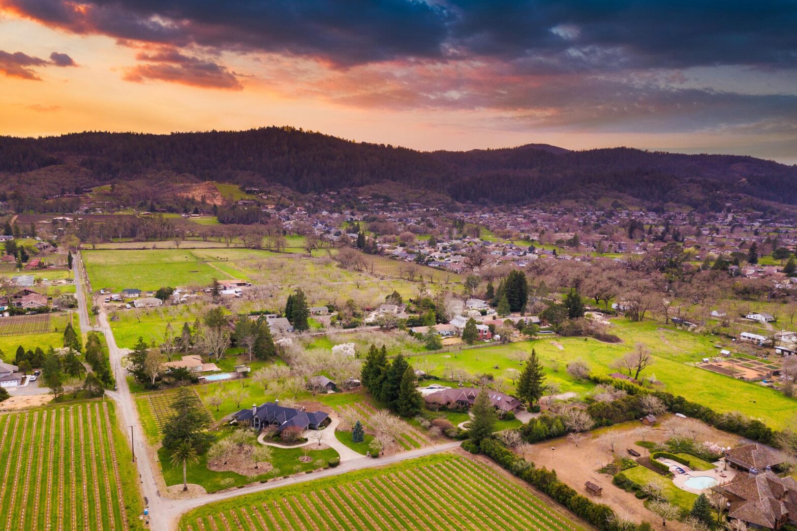 sonoma county wineries