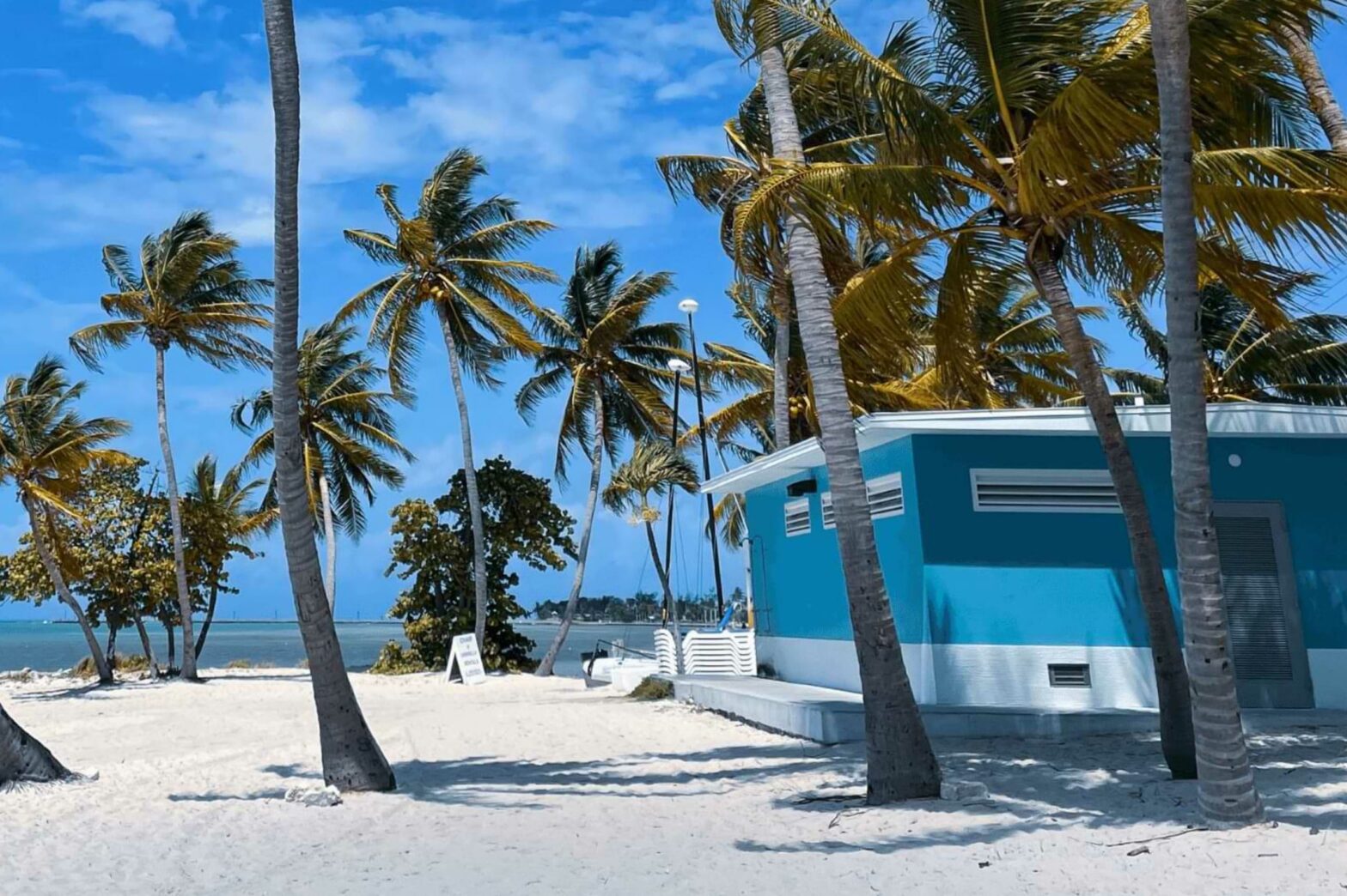 Palm Trees on Key West Beach
