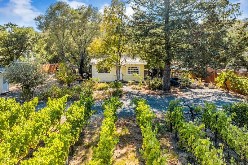 yellow cottage house with a front vineyard and flowers making it the best Sonoma Airbnb