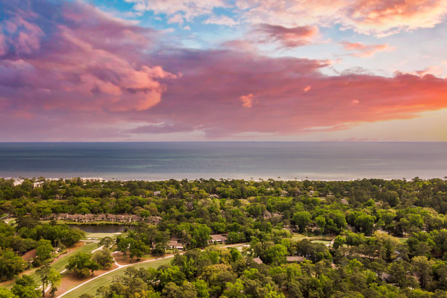 pink cotton candy clouds by the beach and shrubs on the sand