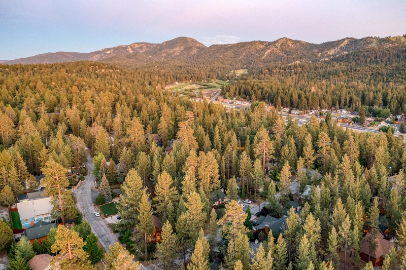 wide image of the green to orange trees on the mountains