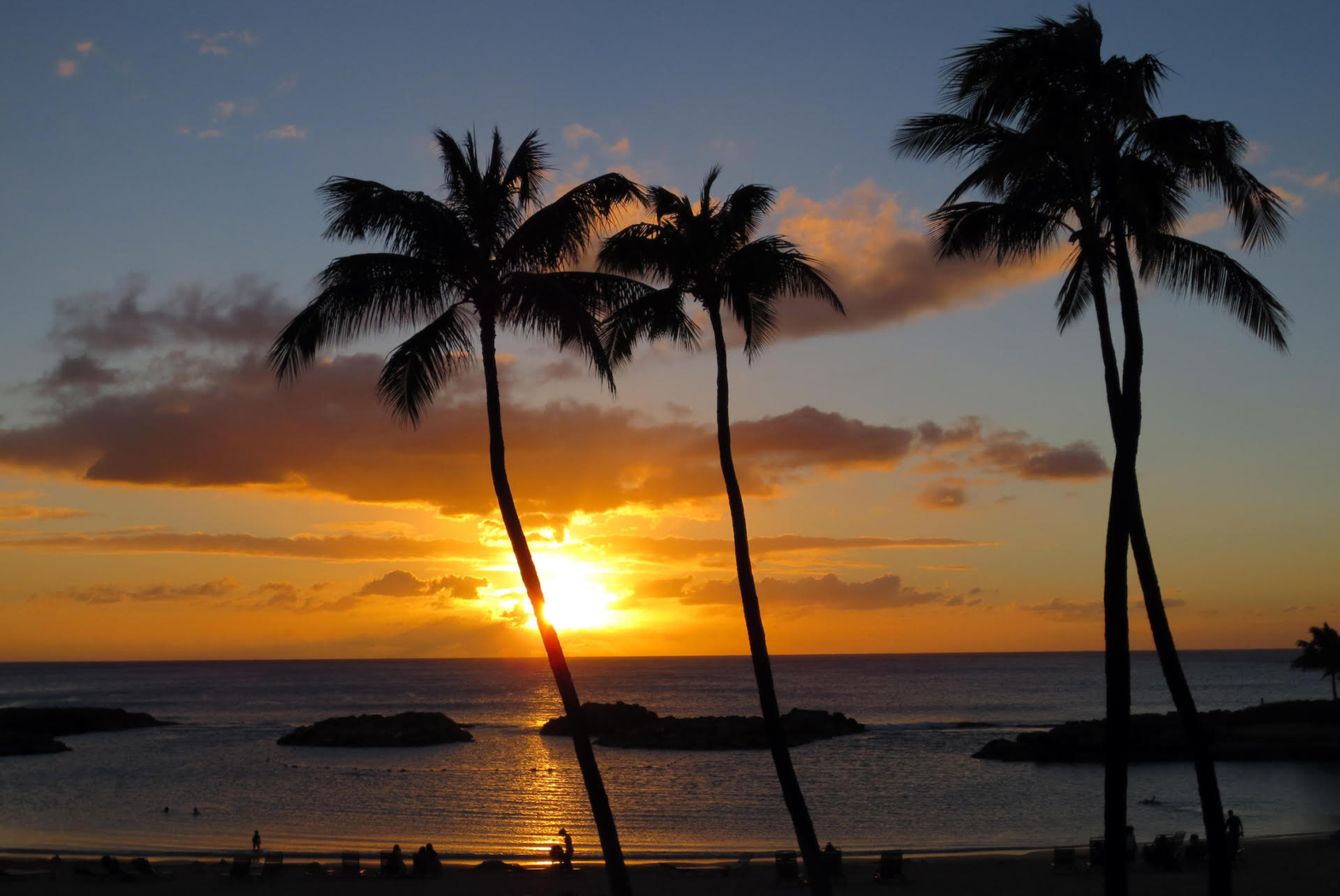 sunset on the beach of Oahu with tall palm trees and sultry waves