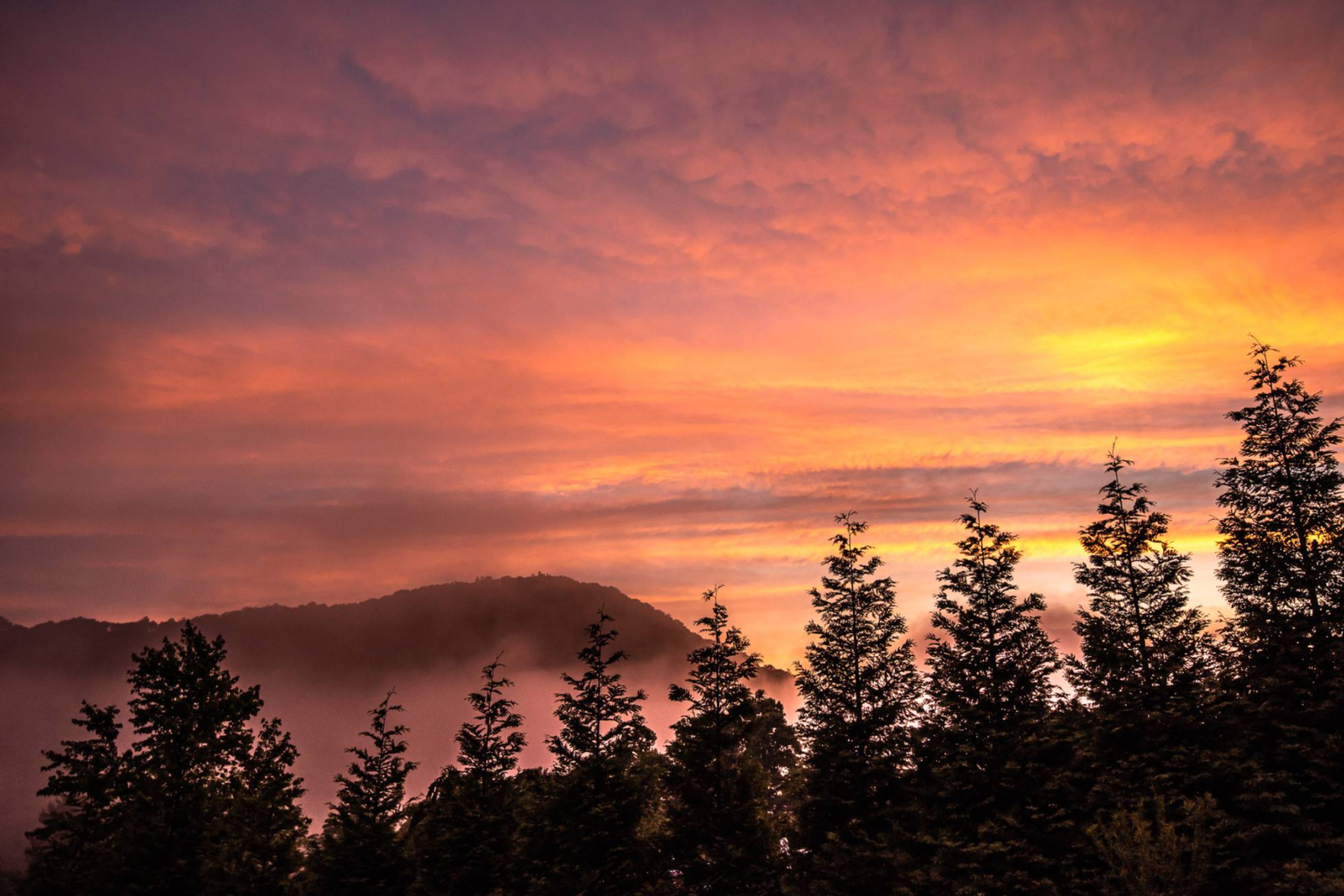 orange sunset over the foggy mountains and pine trees