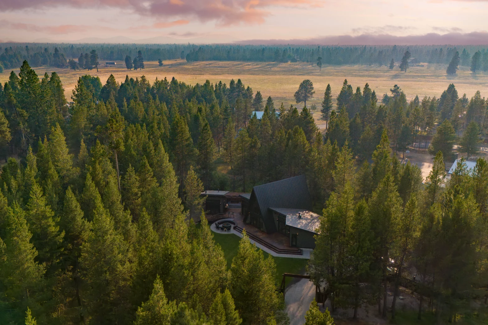 evergreen pine trees and a hidden black house in the woods