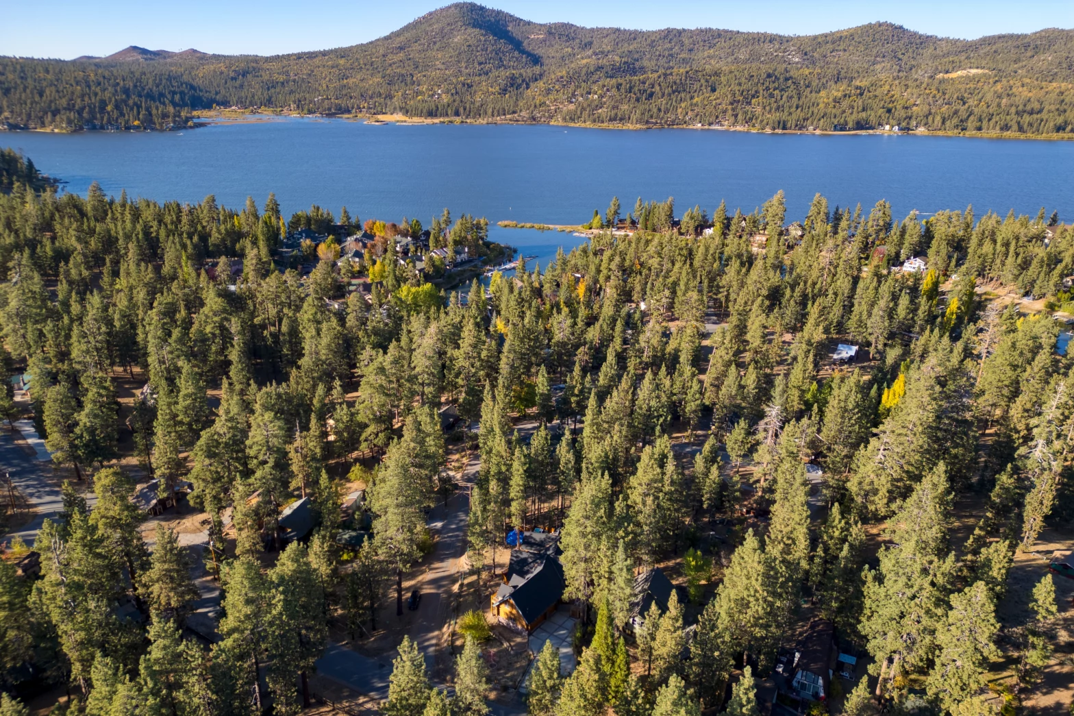 lots of evergreen pine trees by the mountain and blue lake of Big Bear