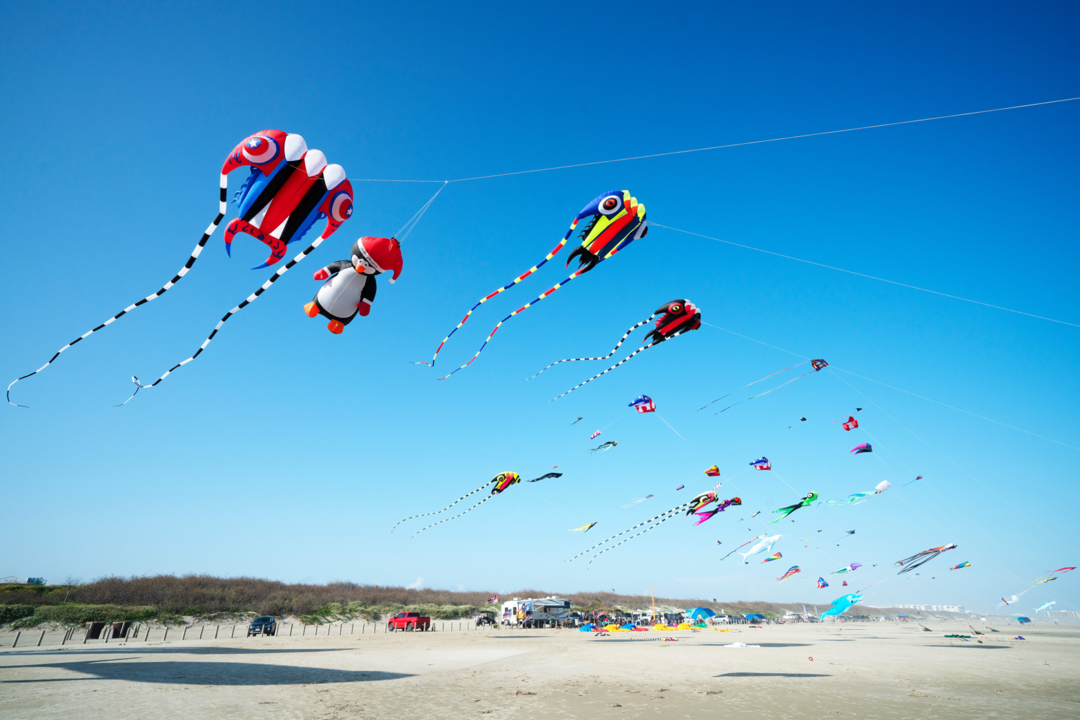 blue sunny skies with plastic kites flying by the summer breeze over the beach