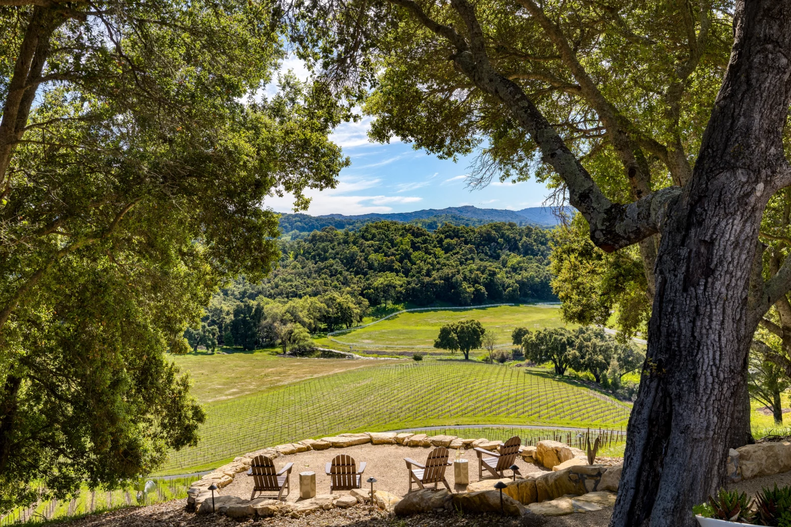4 Adirondack chairs under the tree shade perfectly placed in front of the big green winery field