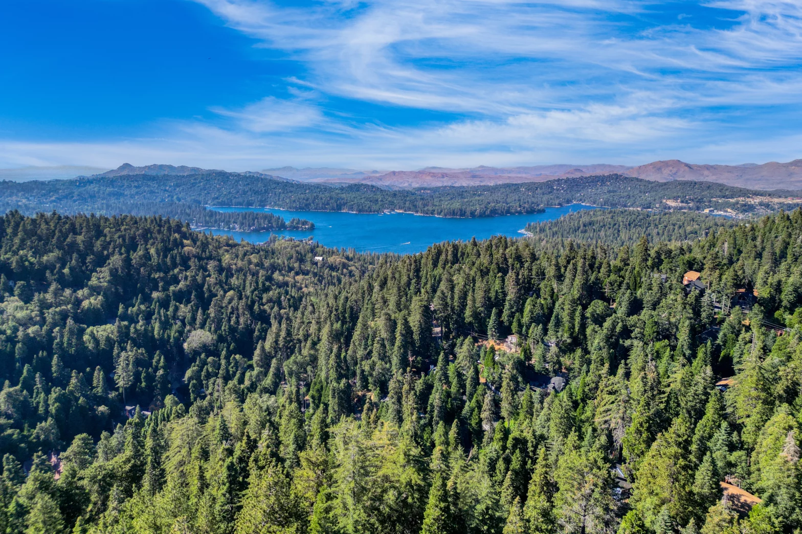 turquoise blue lake in the middle of evergreen pine trees on a spring day