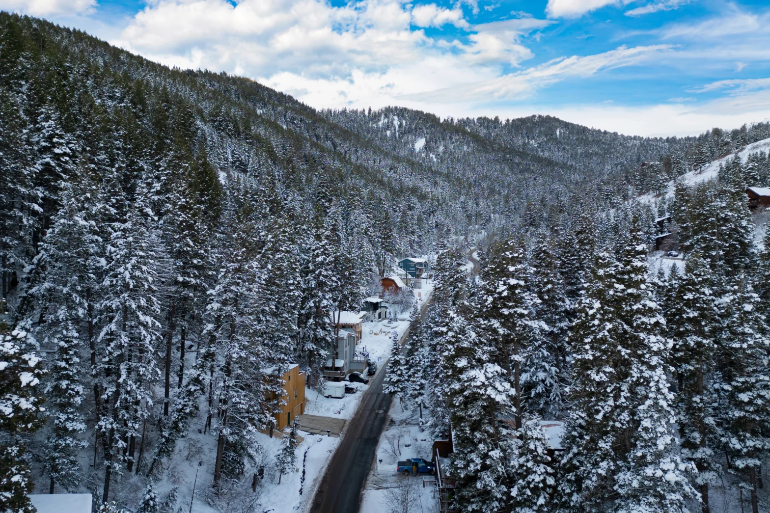 snowy pine trees in the remote mountain covering the black asphalt road