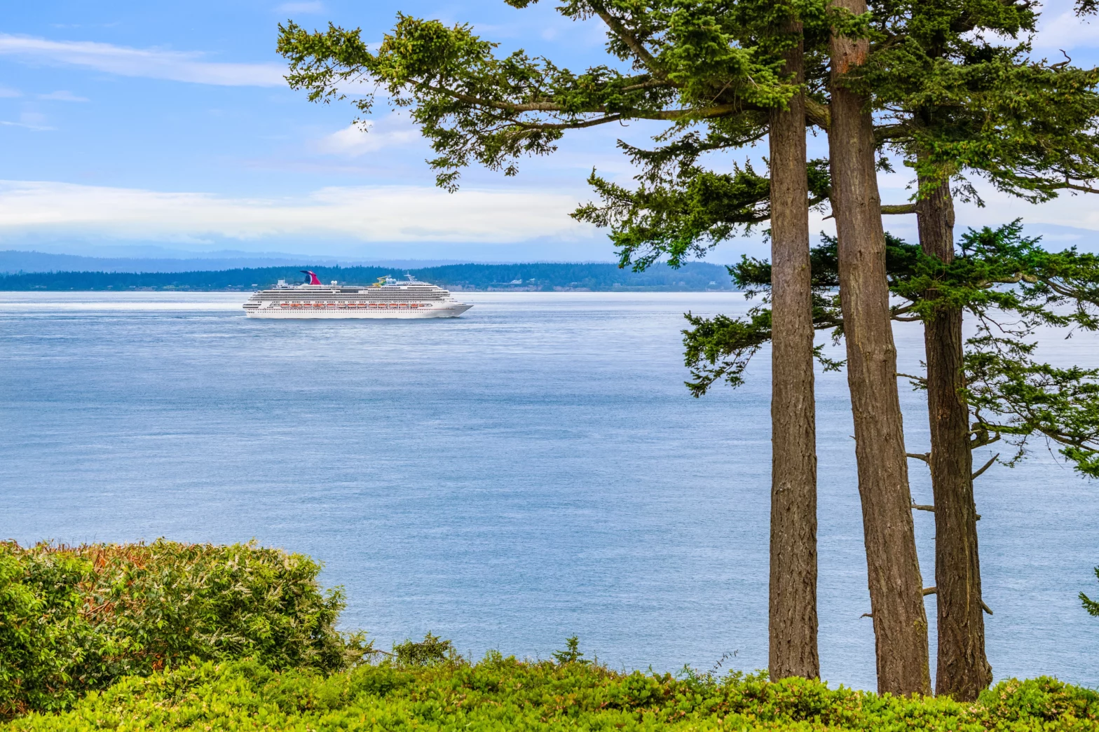 luxury cruise ship on a blue serene sea surrounded by pine trees