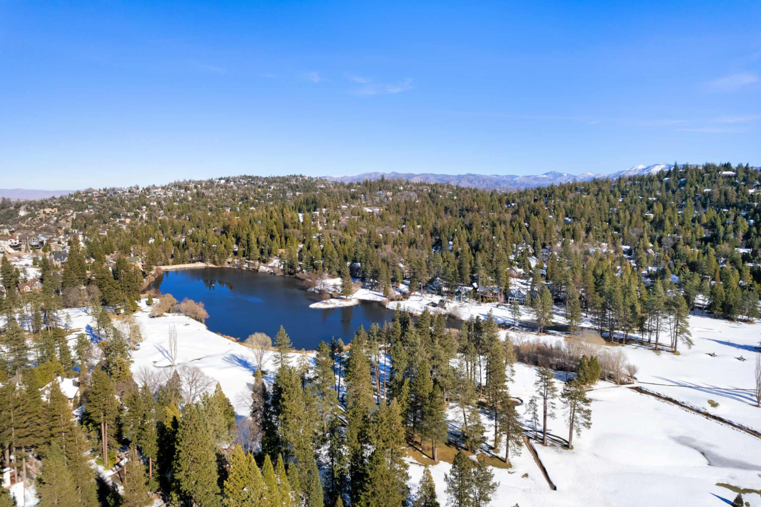 white snow field of evergreen pine trees with a deep blue lake in the middle