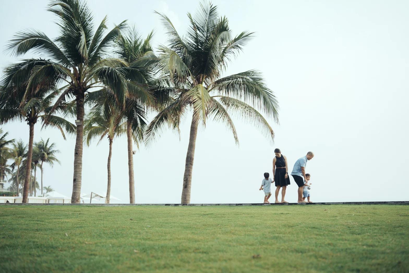 panoramic shot of green land with coconut trees and family of 4